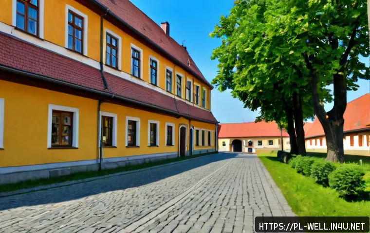 Jak koordynator wellbeingu zbiera feedback pracowników i wybiera skuteczne narzędzia 4 웰빙코디네이터와 피드백 수집 방법 관련 이미지 2